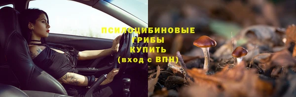 прущие крисы Абинск